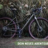 Die Prophete Aldi Produkte können weiter zu Top Aldi-Preisen gekauft werden!